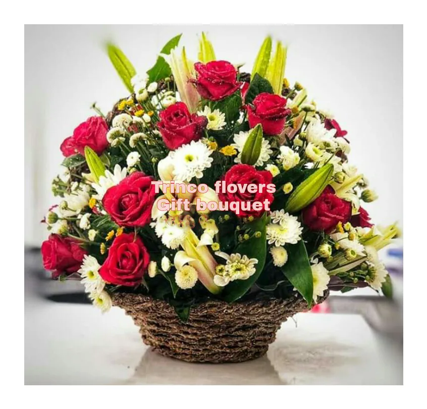 Main street - Trinco Flovers