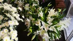 Photograph 2 of 4