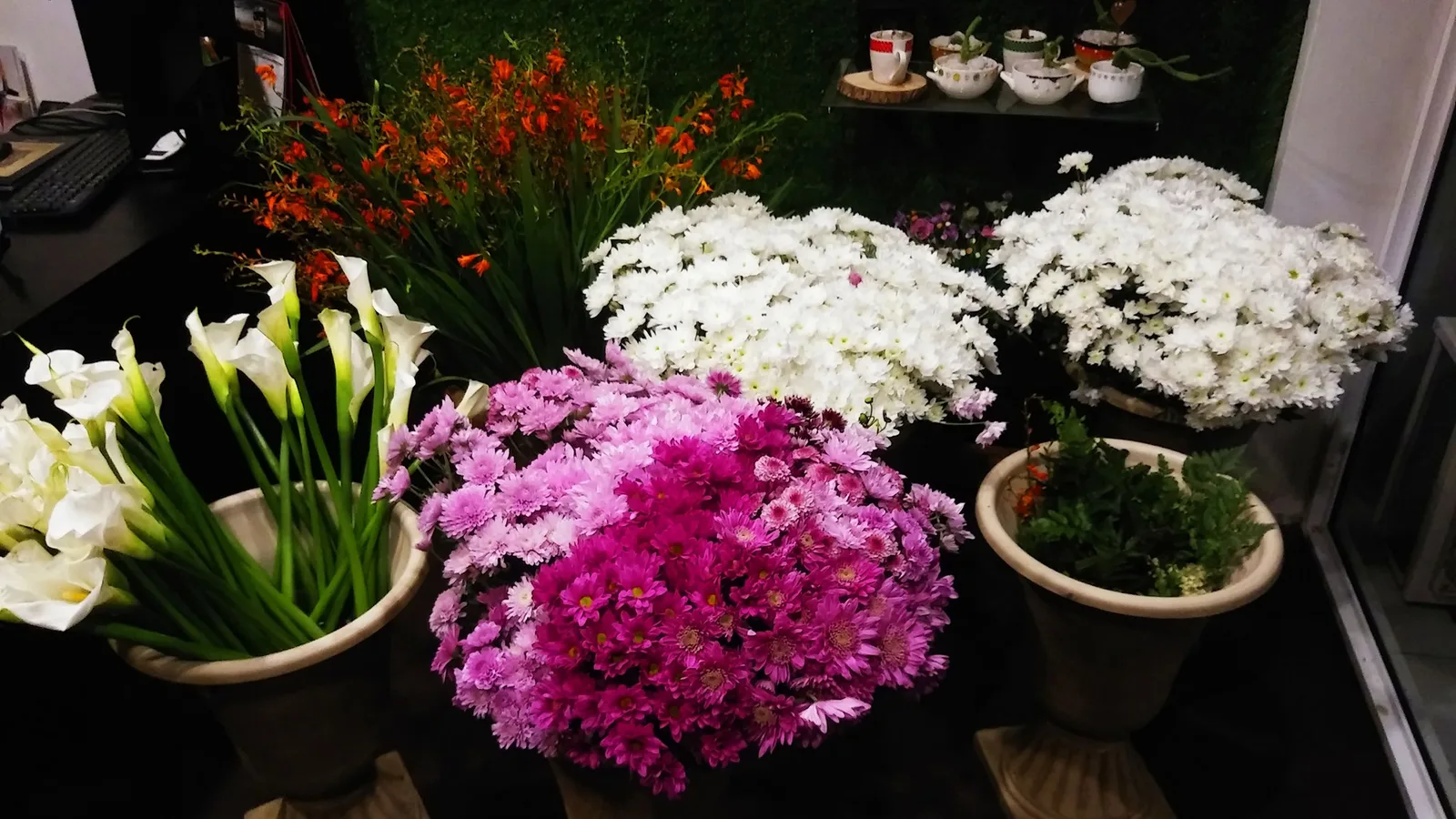 New Town - Flowers For You