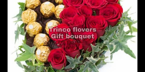 Trinco Flovers - 01