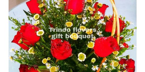 Trinco Flovers - 03