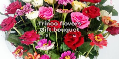 Trinco Flovers - 05