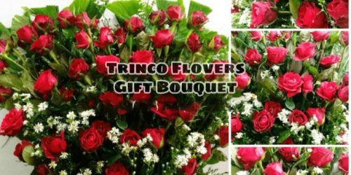Trinco Flovers - 25