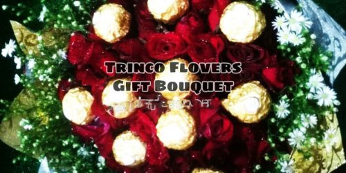 Trinco Flovers -27