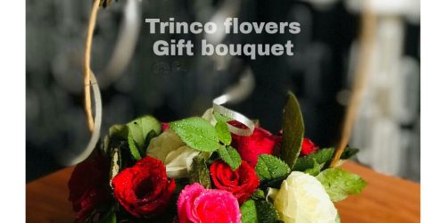Trinco Flovers - 32