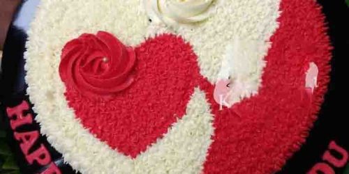Shaniz Delight 021