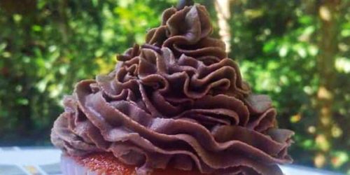 12 Chocolate Cupcakes