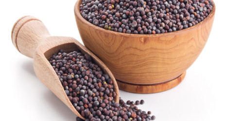 Mustards Seeds -100g