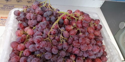 Black Grapes -1kg
