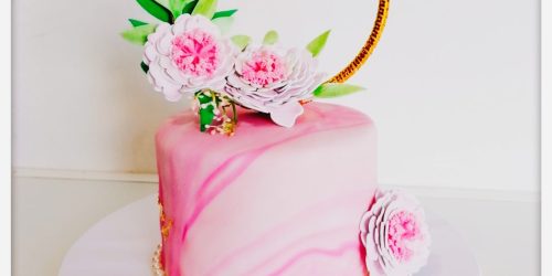 Shan Cakes 10