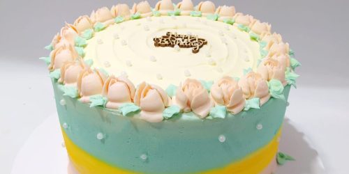 Shuks Cakes 08