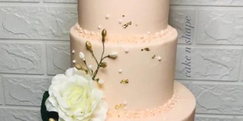 Cake & Shape 01