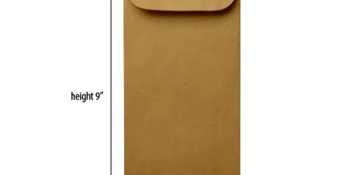 Brown Envelop (9x4 ) 50pcs