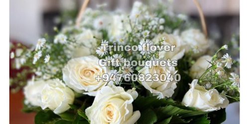 Trinco Flovers - 15