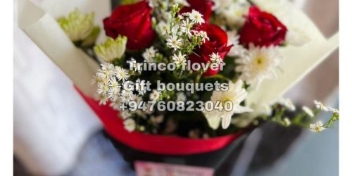 Trinco Flovers - 17