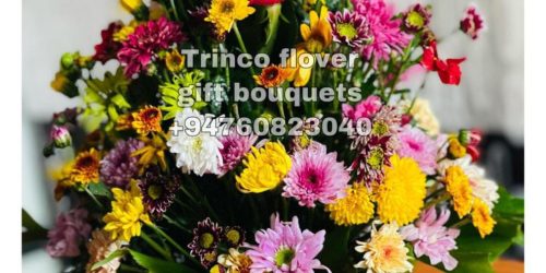 Trinco Flovers - 02