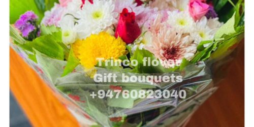 Trinco Flovers - 06