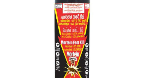 Mortein Fast Killer -400ml