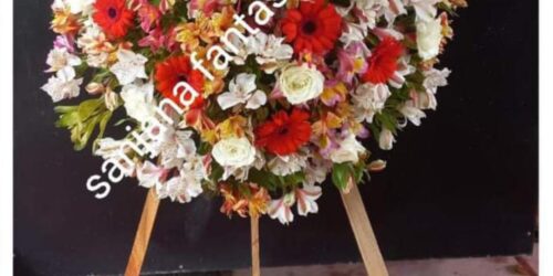 Sanjana Flowers -16