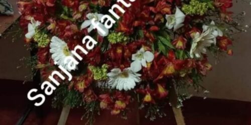 Sanjana Flowers -19