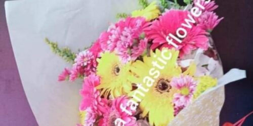 Sanjana Flowers -02