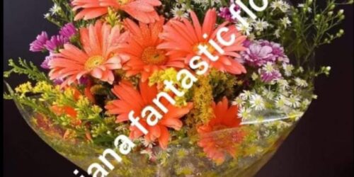 Sanjana Flowers -04