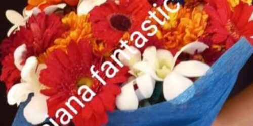 Sanjana Flowers -08