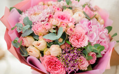 Vavuniya- Sanjana Fantastic Flower